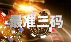 2024新司机怎样找网坐（中国）IOS版手机APP官网下